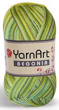 Begonia melange